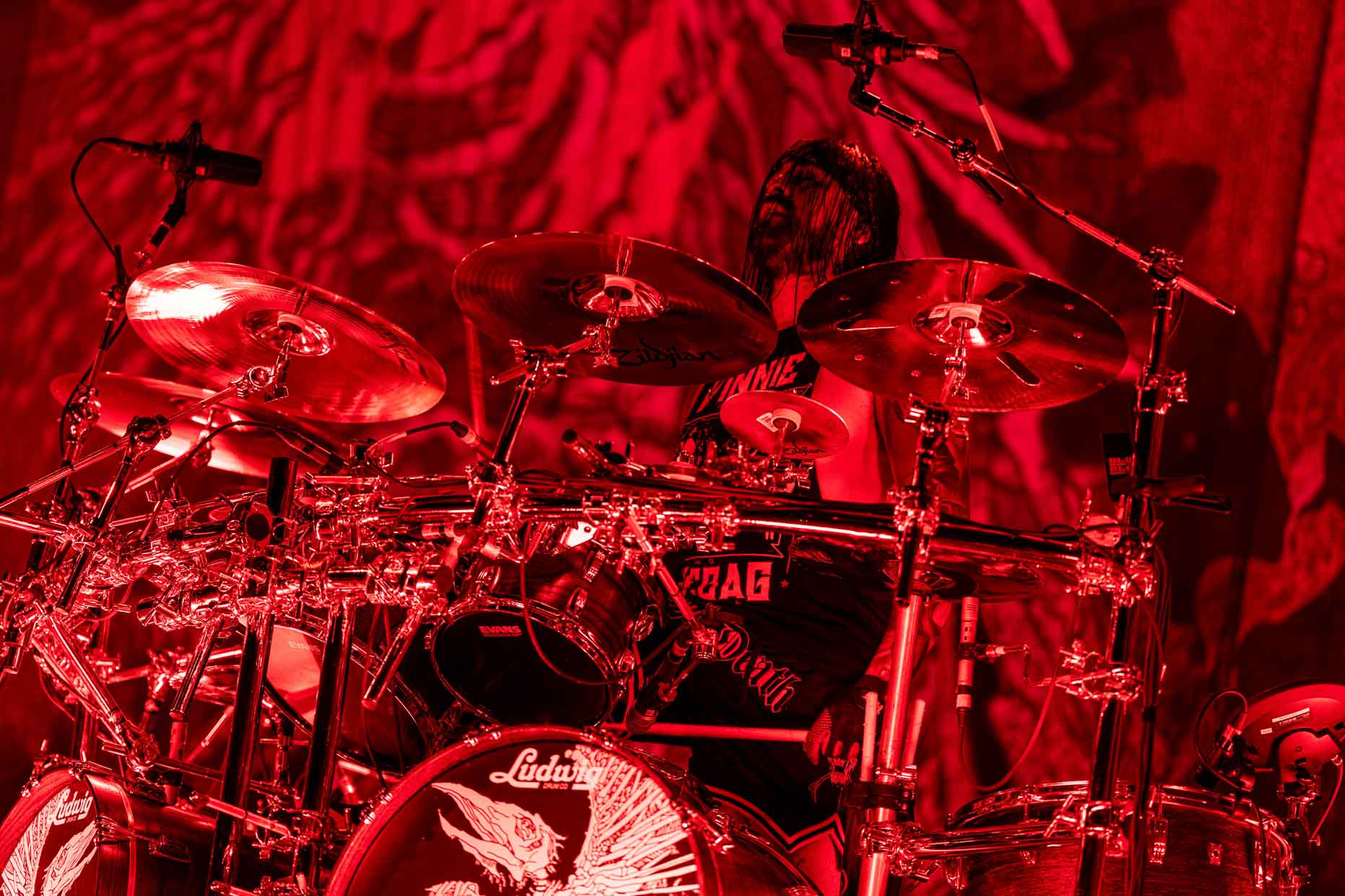 Lamb of God Charlie C2