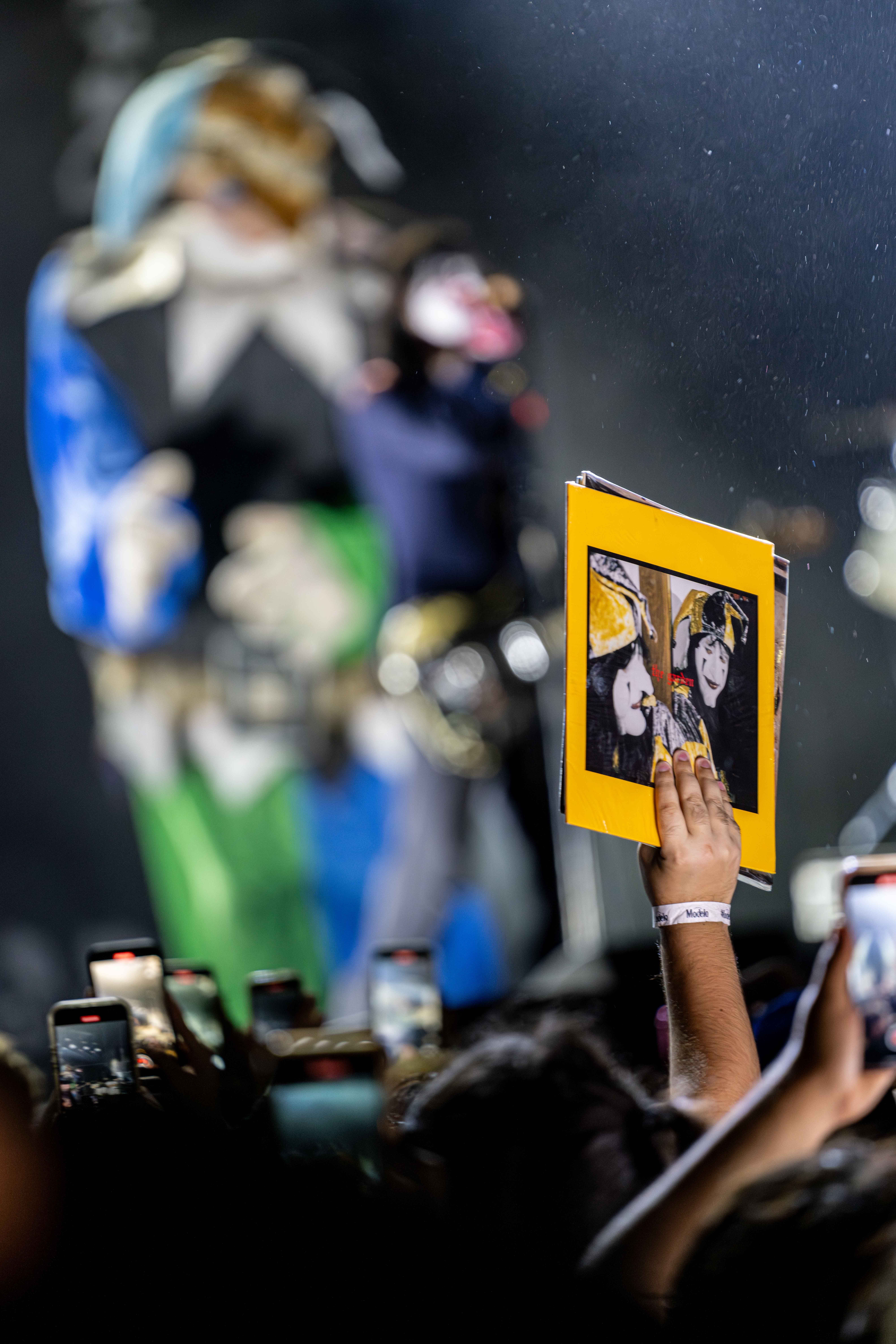 The Garden 1SN Charlie C10